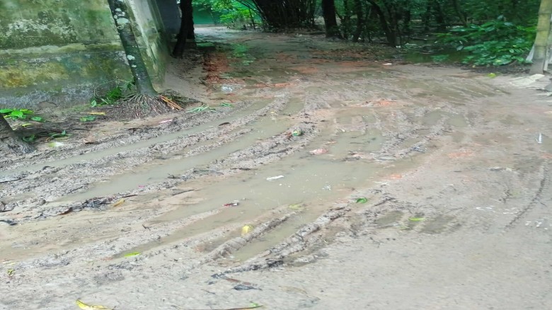 পেরুল দক্ষিণের ৭নং ওয়ার্ডের কনকশ্রী'র বেহাল সড়ক ছবি- আলোকিত লালমাই।